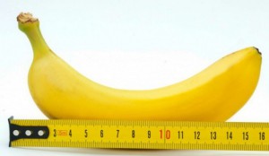 penis-length-e1425806412123-665x385