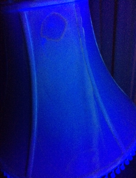 2ECD368600000578-3333658-_Filthy_The_owner_of_the_house_Kristina_Knapic_alleges_he_rented-a-2_1448483633987